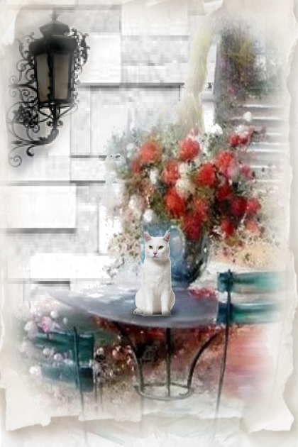 Table in the patio