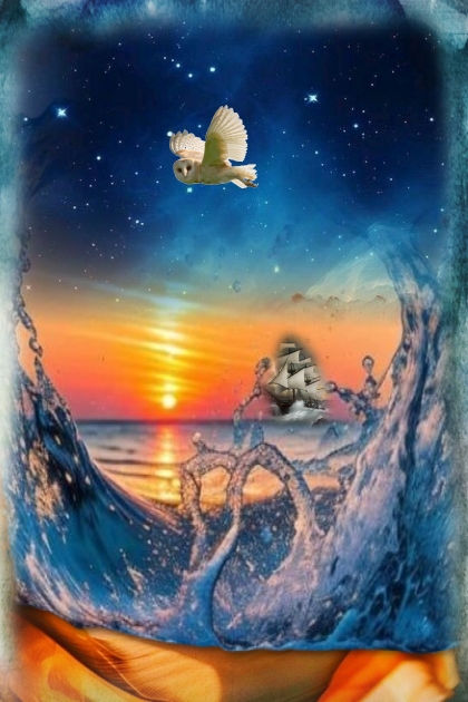 Night owl over the sea