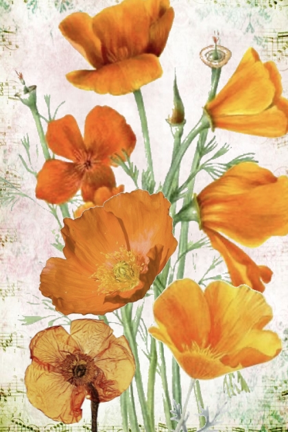 Orange flowers- combinação de moda