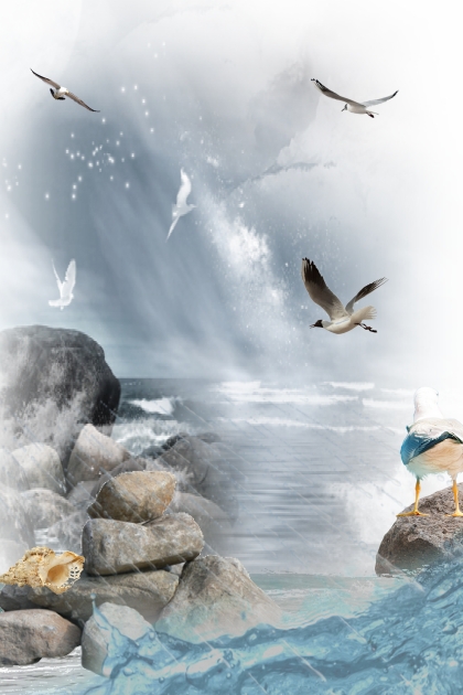 Seagulls over the sea