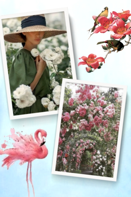 Flowers and birds