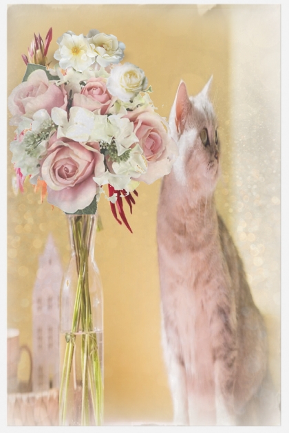 Cat and flowers 