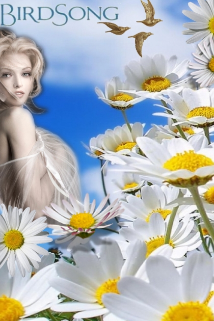 Birdsong among daisies