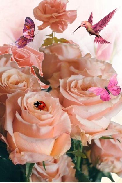 The land of roses