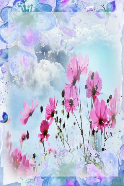 Cosmos flowers 25