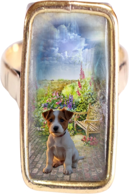 Doggy in the garden