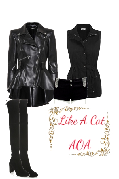 AOA - Like A Cat- Fashion set