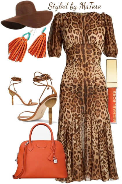Leopard Chic- Combinazione di moda