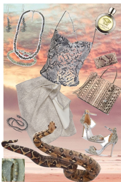 snake in the desert- combinação de moda