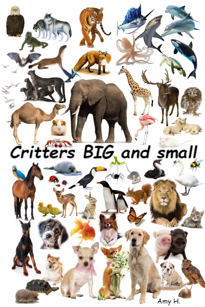 Critters BIG and small- Combinazione di moda
