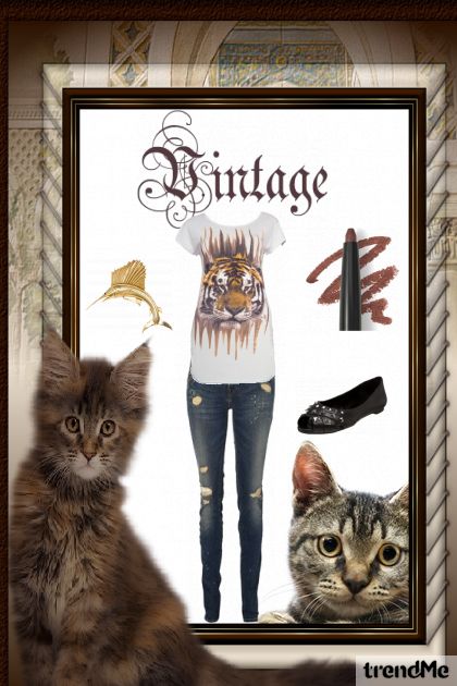 Cat´s- Fashion set