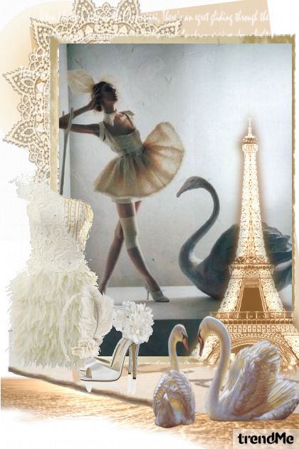 Paris swan dance- combinação de moda
