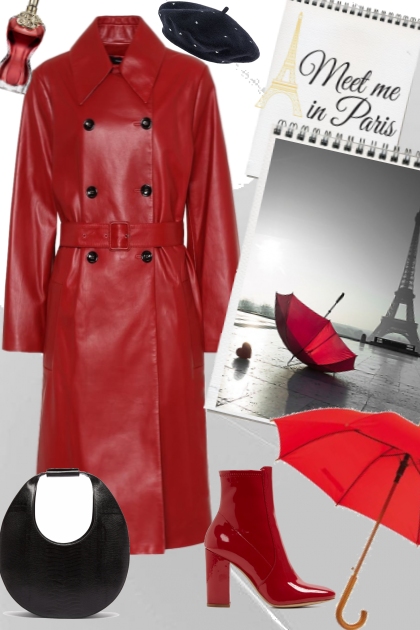 Meet me in Paris- Combinazione di moda