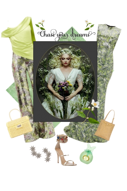 Chase your dreams- Fashion set