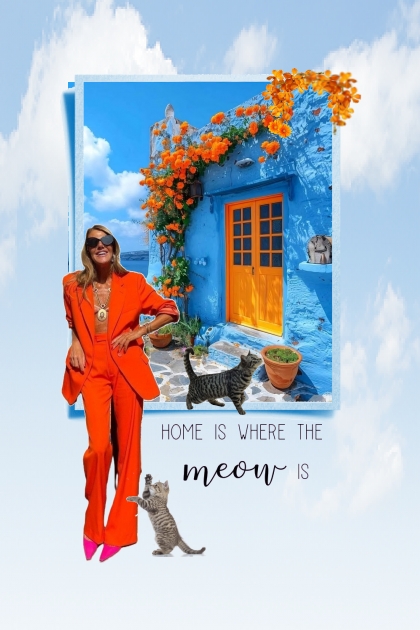 Home is where the meow is