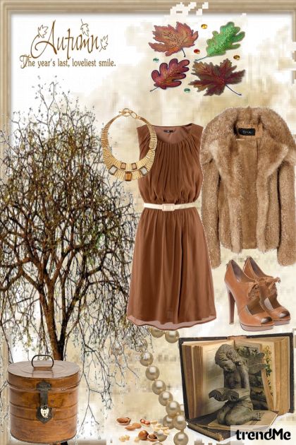 Autumn elegance- Fashion set