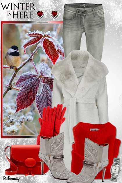 nr 779 - Winter is here...- Fashion set