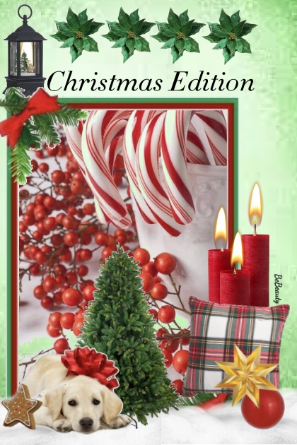 nr 4028 - Christmas edition