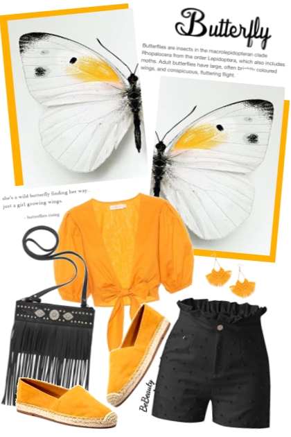 nr 6680 - Butterfly- Fashion set