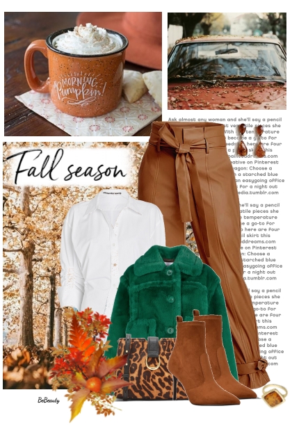 nr 7866 - Fall season- Модное сочетание