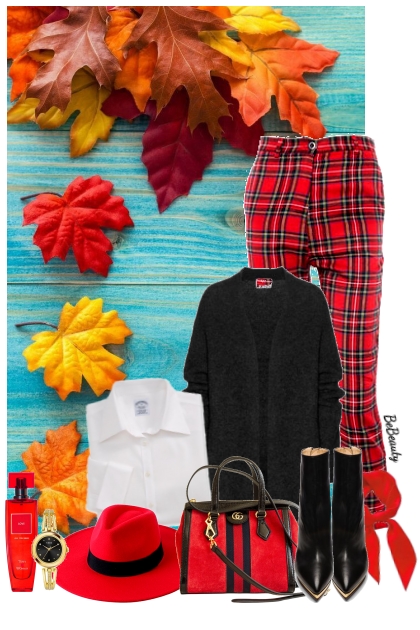 nr 10376 - Autumn elegance- Fashion set