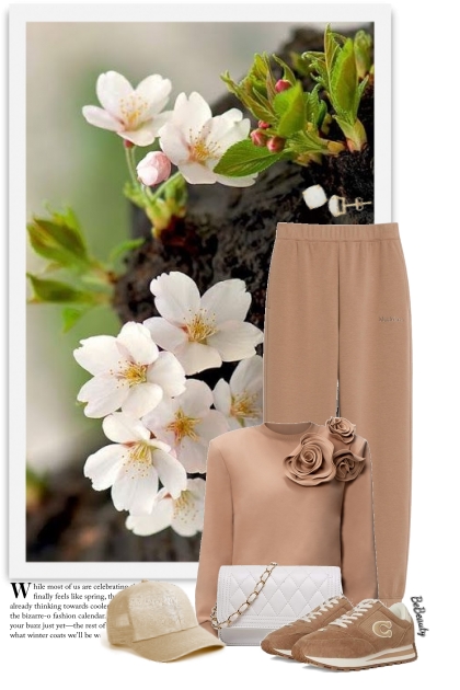 nr 11552 - Hello May!