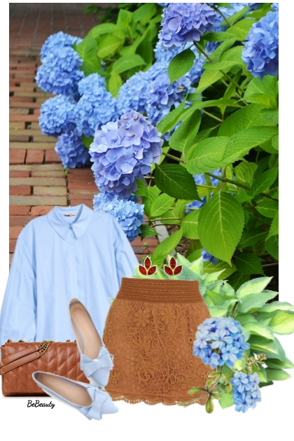 nr 11555 - Hydrangea
