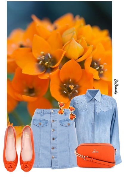 nr 11574 - Denim lover