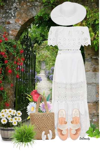 nr 11816 - White