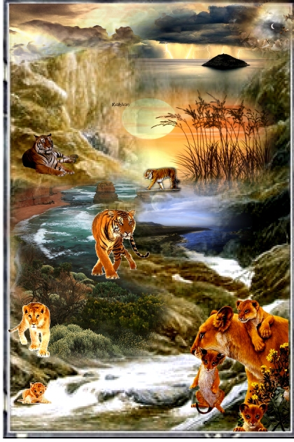 LIONS AND TIGERS- Modna kombinacija