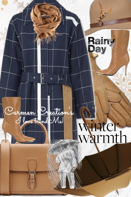Journi's Winter Warmth Rainy Day Outfit- Fashion set