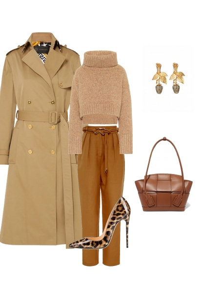 № 9 brown- Combinazione di moda