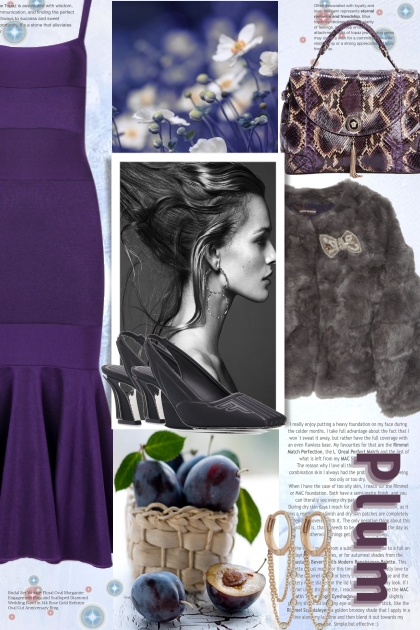 PLUM- Fashion set