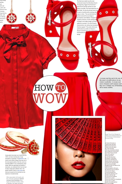 HOW TO WOW ..- Combinazione di moda