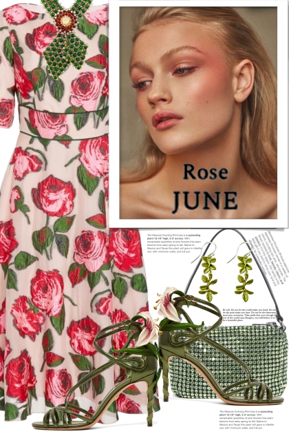 THE JUNE ROSE