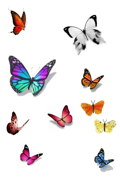 Butterfly's Everywhere- Модное сочетание