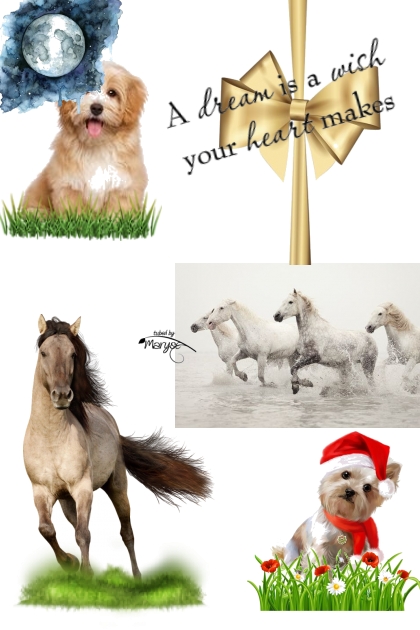 Dogs and Horses