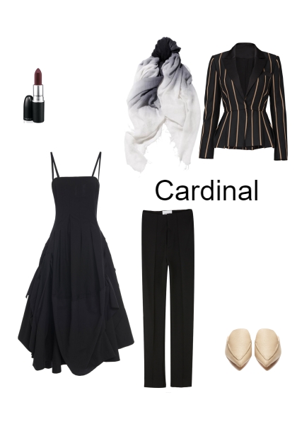 Cardinal- combinação de moda