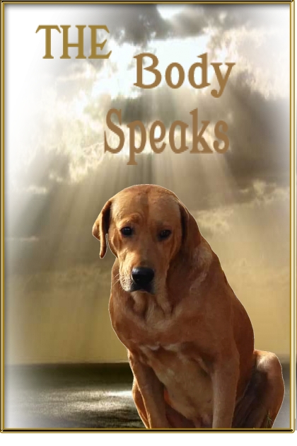 The Body Speaks- Modna kombinacija