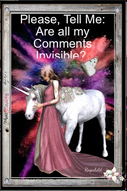 My Comments are Invisible? - Fashion set
