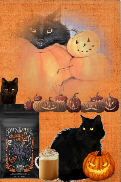 Black cats, Pumpkins and Coffee- Fashion set