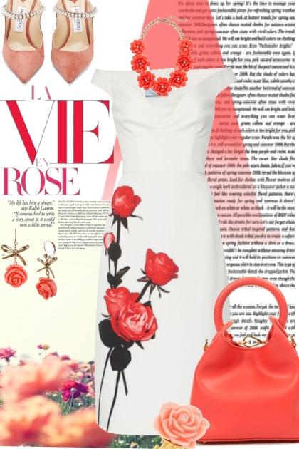 La Vie En Rose- combinação de moda