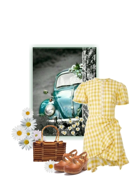 Dia de picnic- Fashion set