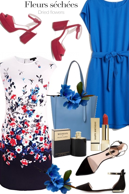 Red White and Blue- combinação de moda