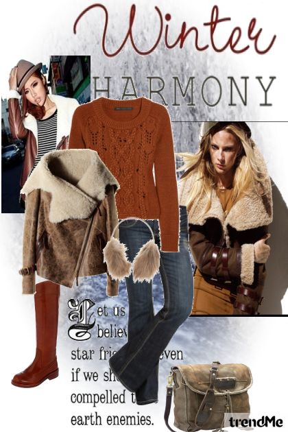 winter harmony- combinação de moda