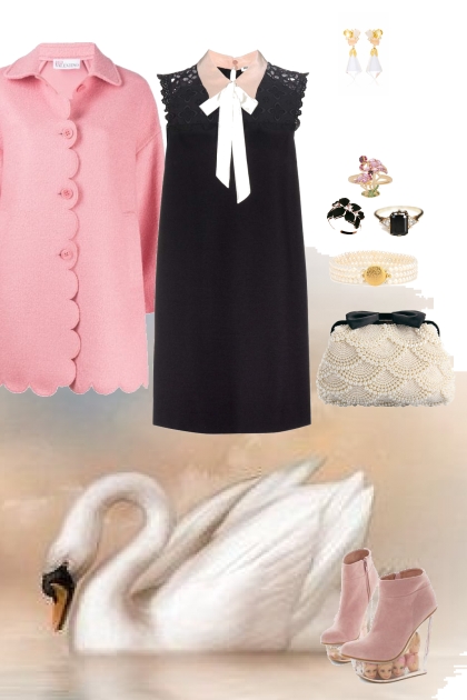 Barbie of Swan Lake- Fashion set