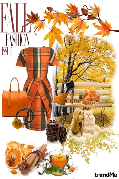 orange fall- Fashion set