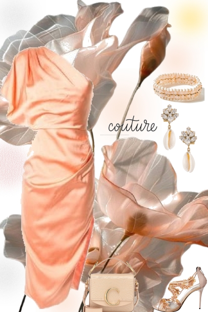 CS - 1086- Fashion set