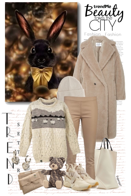 Cozy winter in the city- Fashion set