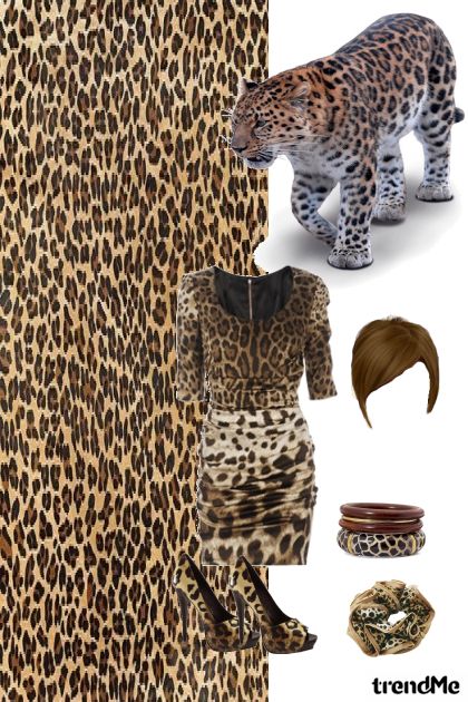 tiger- Fashion set